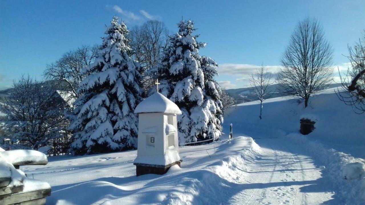 Stylova Chalupa Na Kraji Narodniho Parku Sumava Strunkov Exterior foto